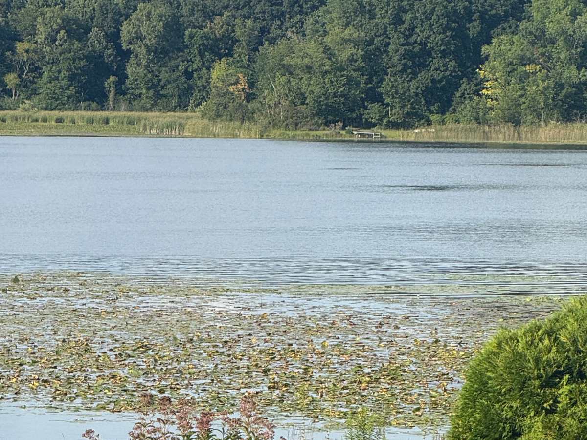 Cedar Lake Trail photo 6