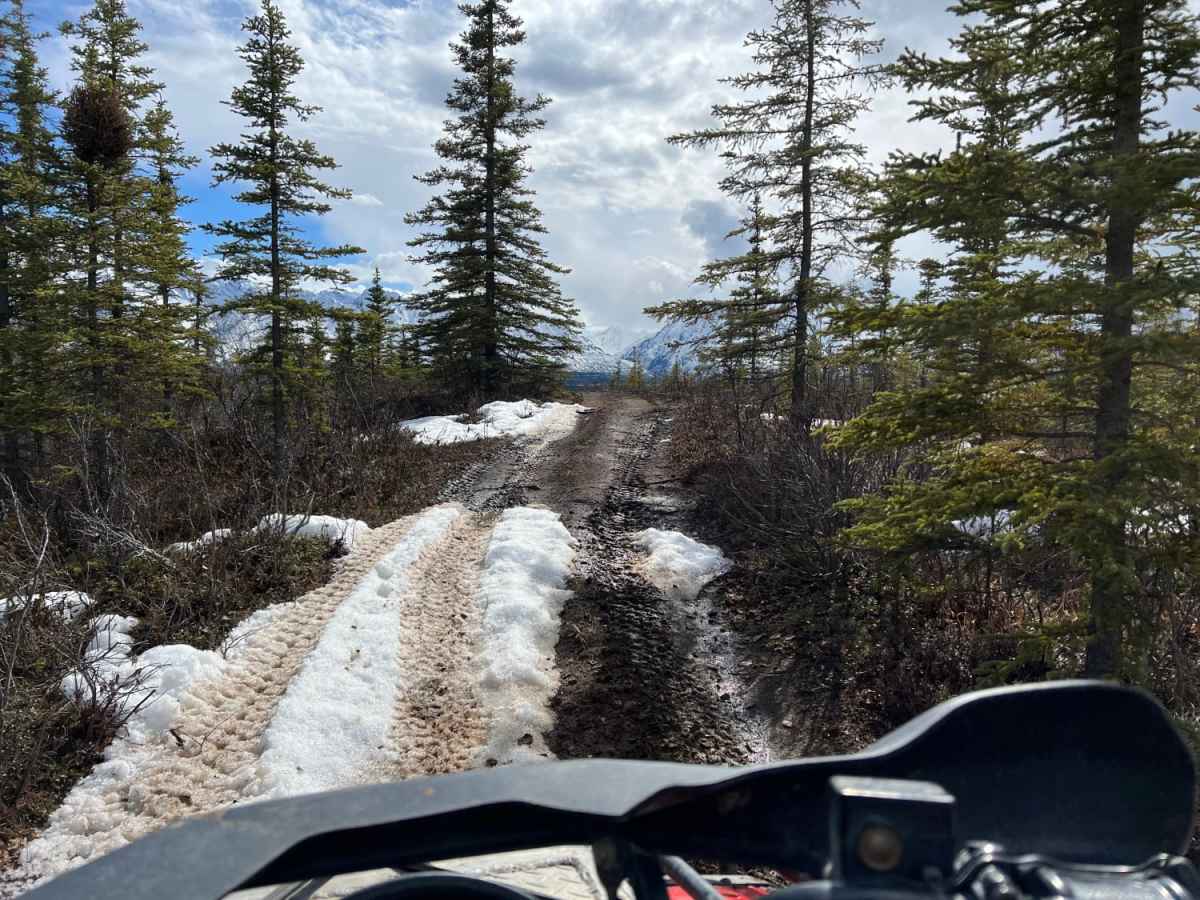 Dan Creek photo 4