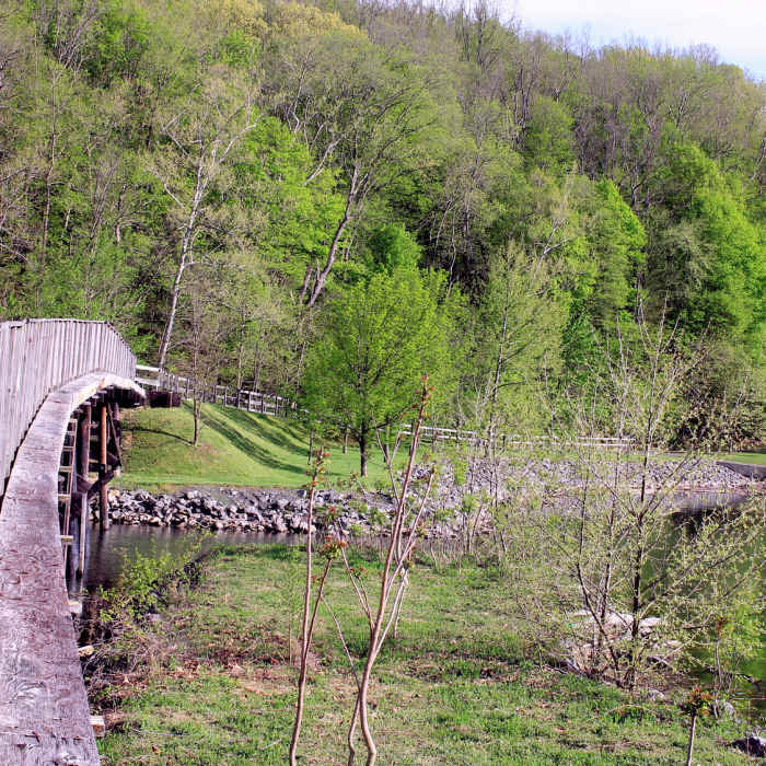 Near Cheat Lake Trail