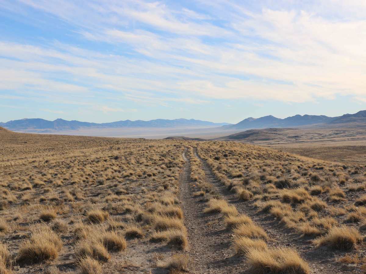 Tumbleweed Lane photo 2