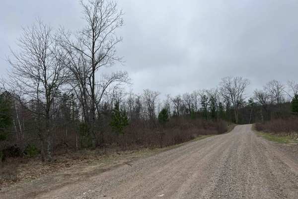 Saul Springs Road - FS 2336