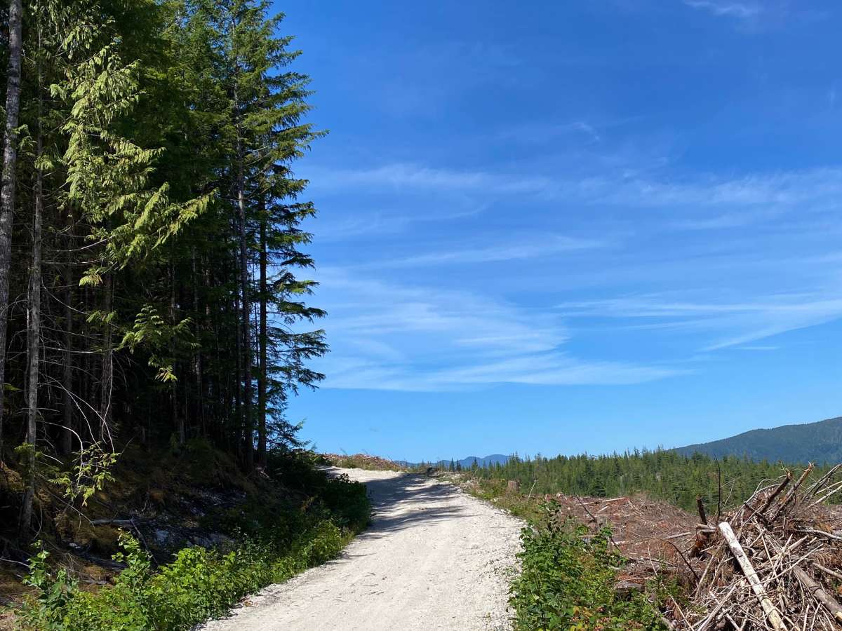 Richardson Lake Trail  photo 6