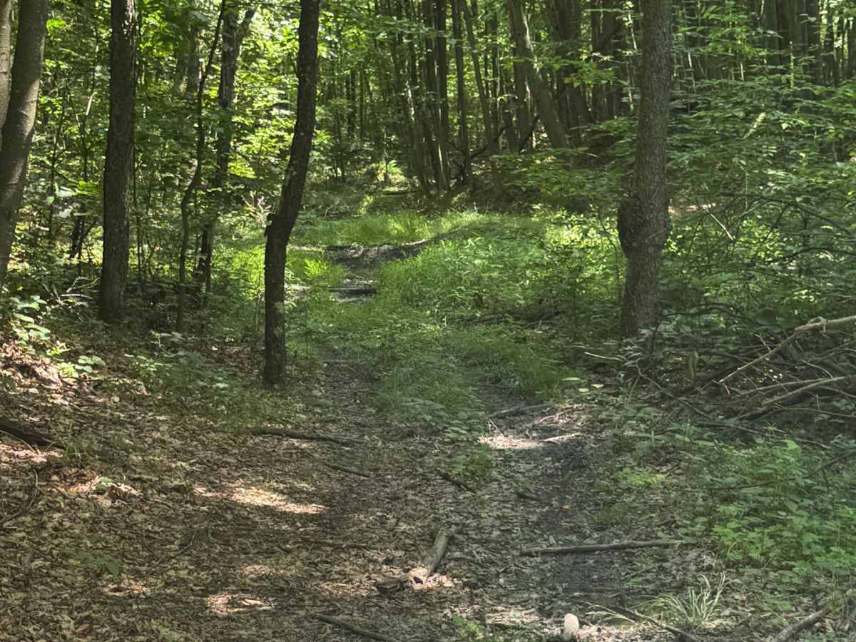 Trail 44 photo 3