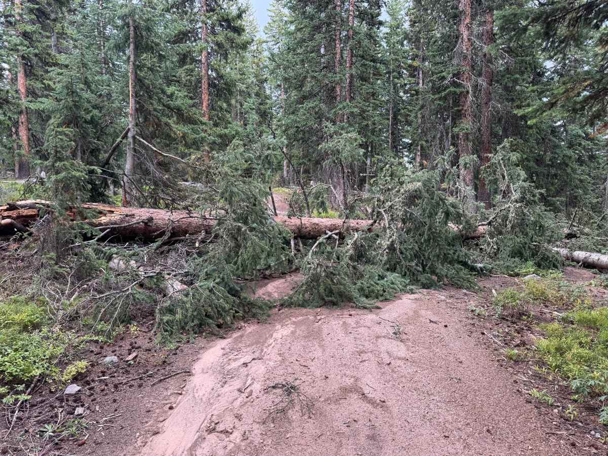 Moniger Road photo 3