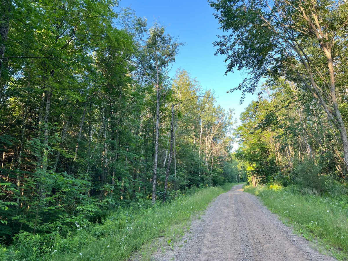 Spring Pond Road photo 4