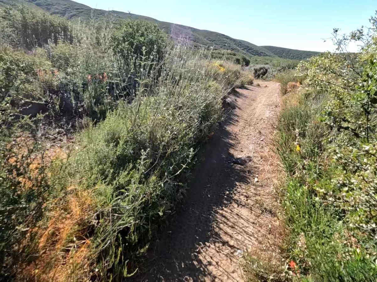 Sierra OHV Trail photo 4