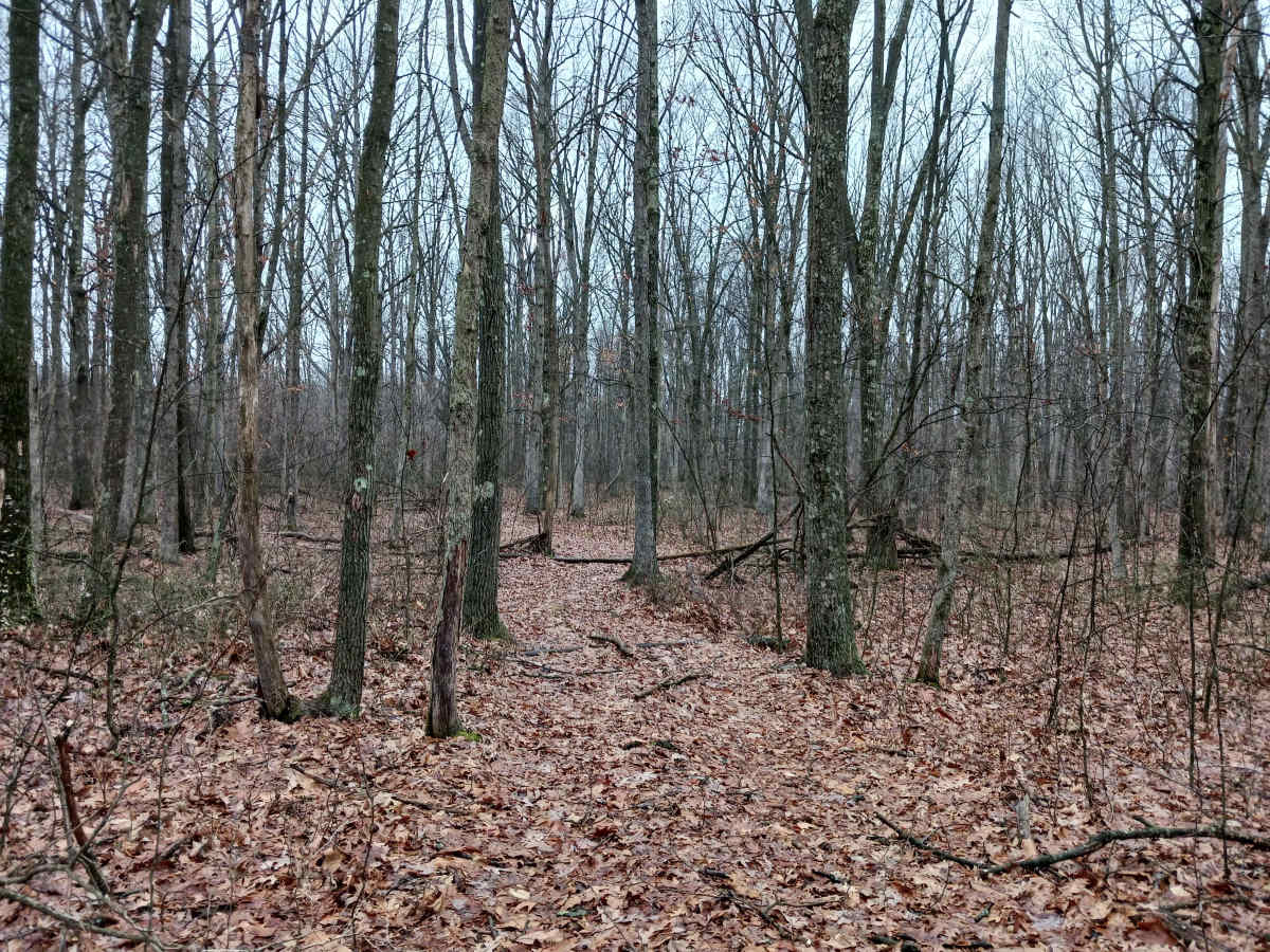 OHV 45 - Rock Run Recreation Area trail photo
