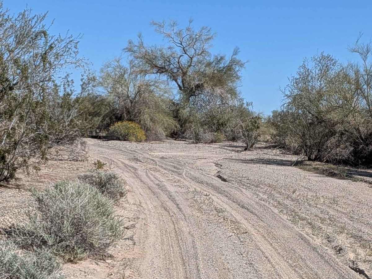 BLM 762 photo 2