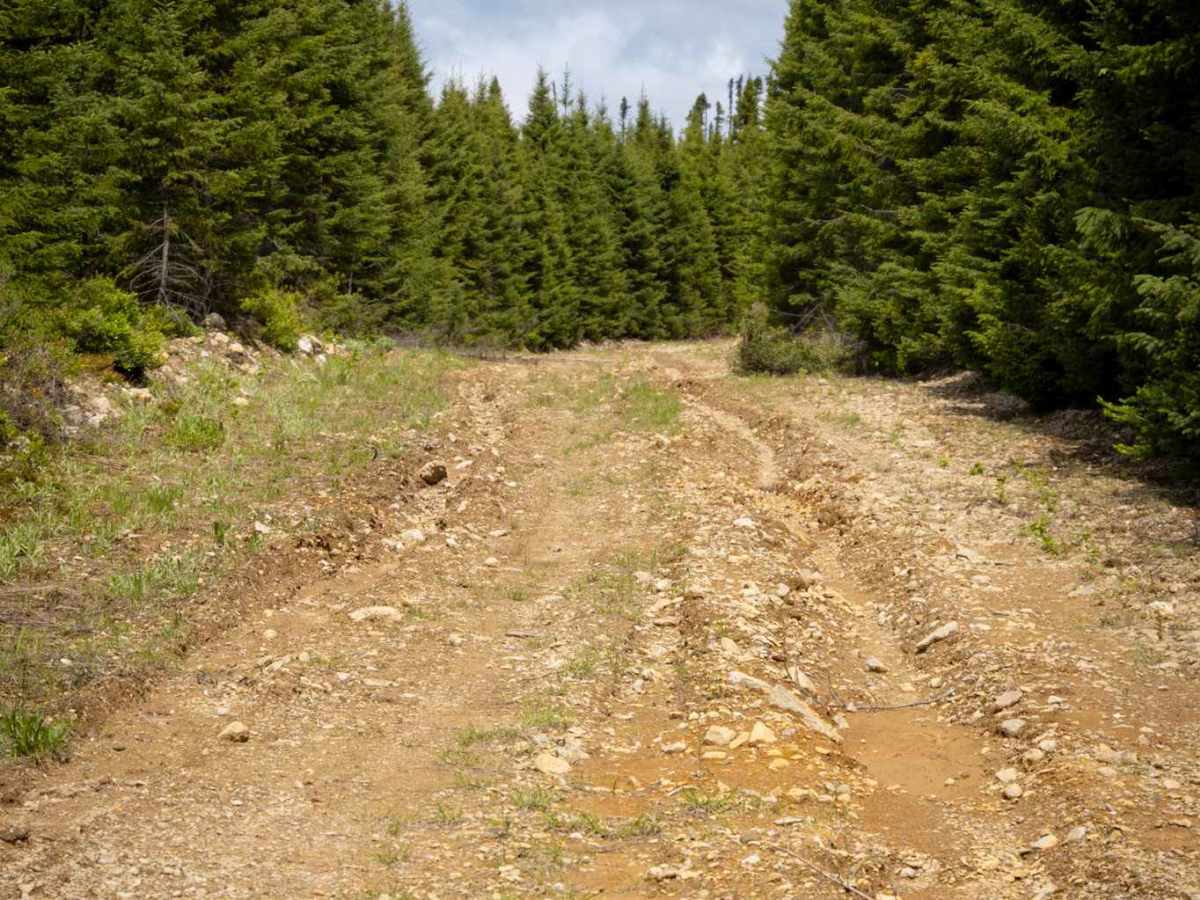 Mount Fronsac Trail photo 6