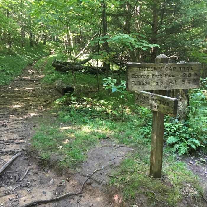 Near Brushy Mountain Trail