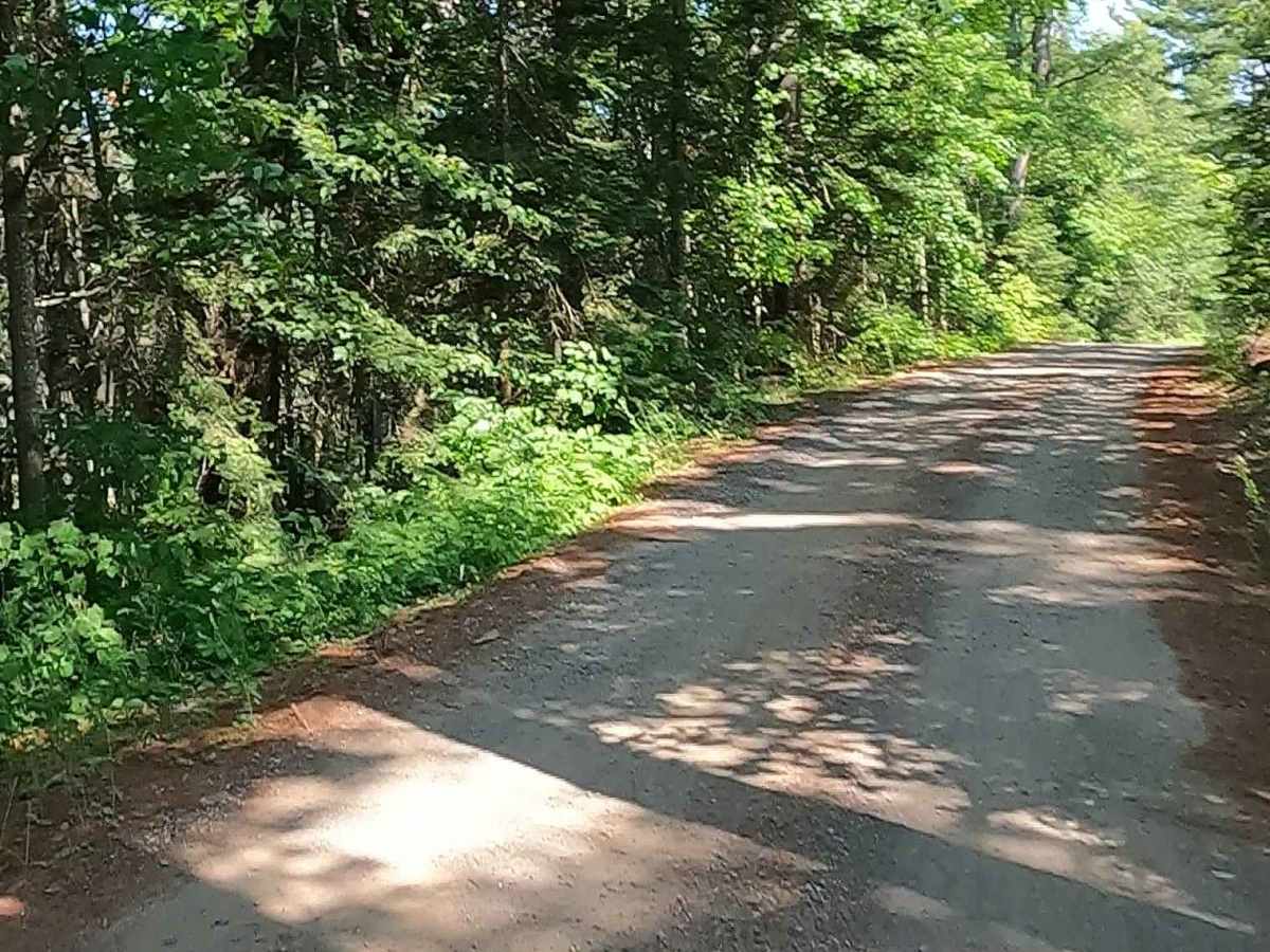 North Nestoria Road photo 3