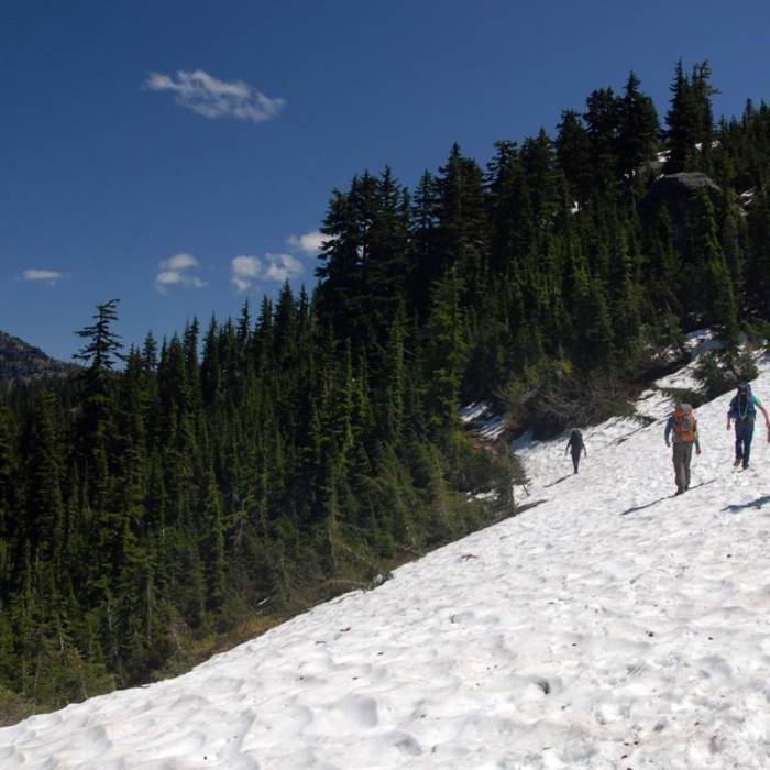 Near Dewey + Anderson Lakes