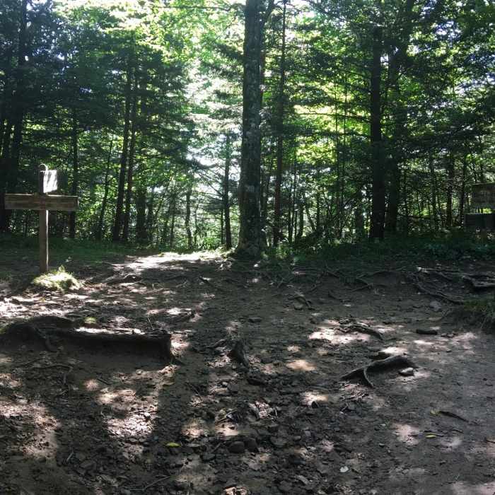 Near Brushy Mountain Trail