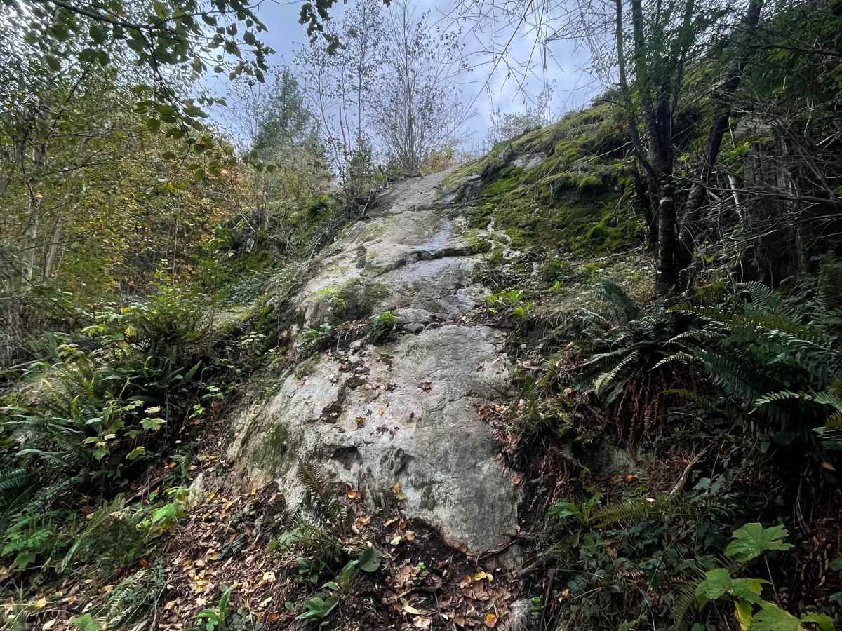 Grip Reaper trail photo