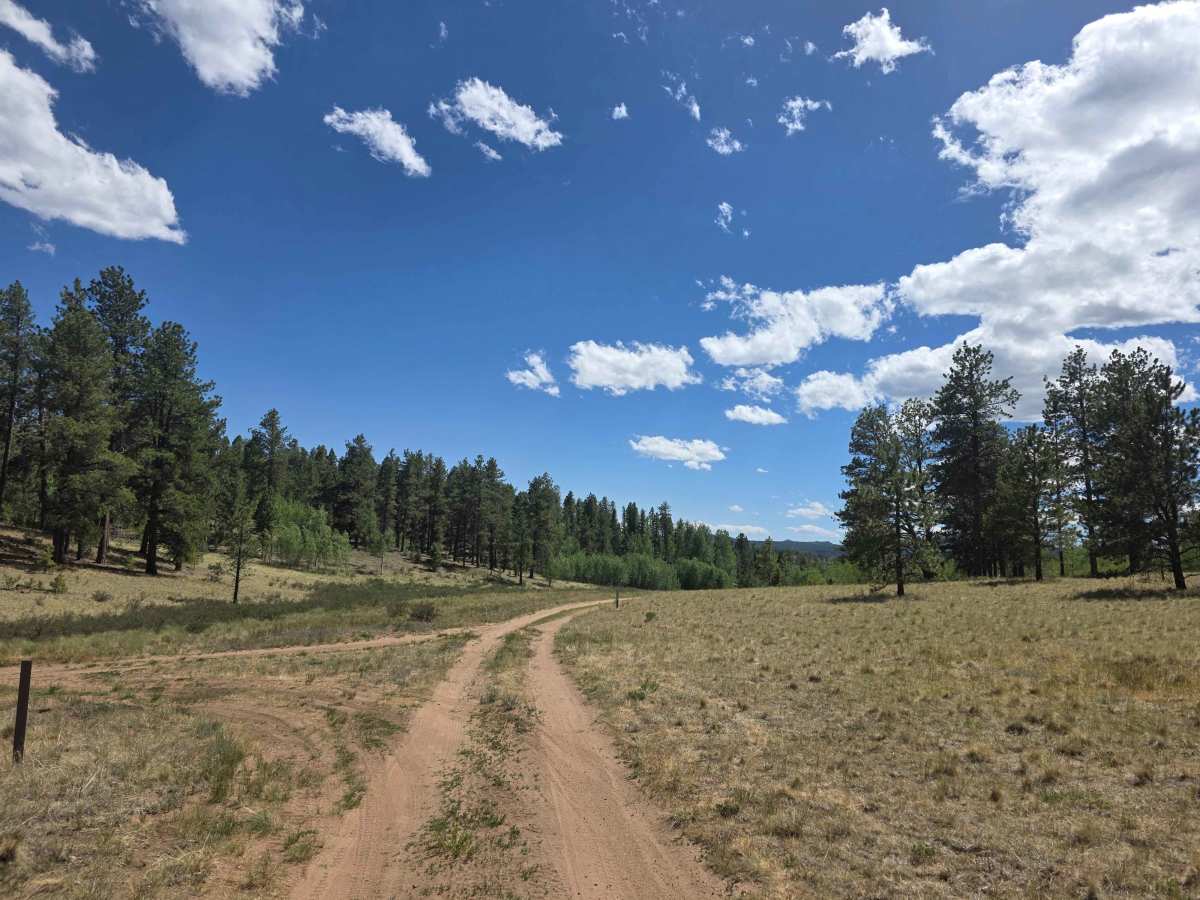 Nice Camp Road - FS 244A photo 2