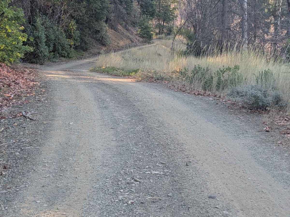 Baker Flat Road - FS 29N41 photo 2