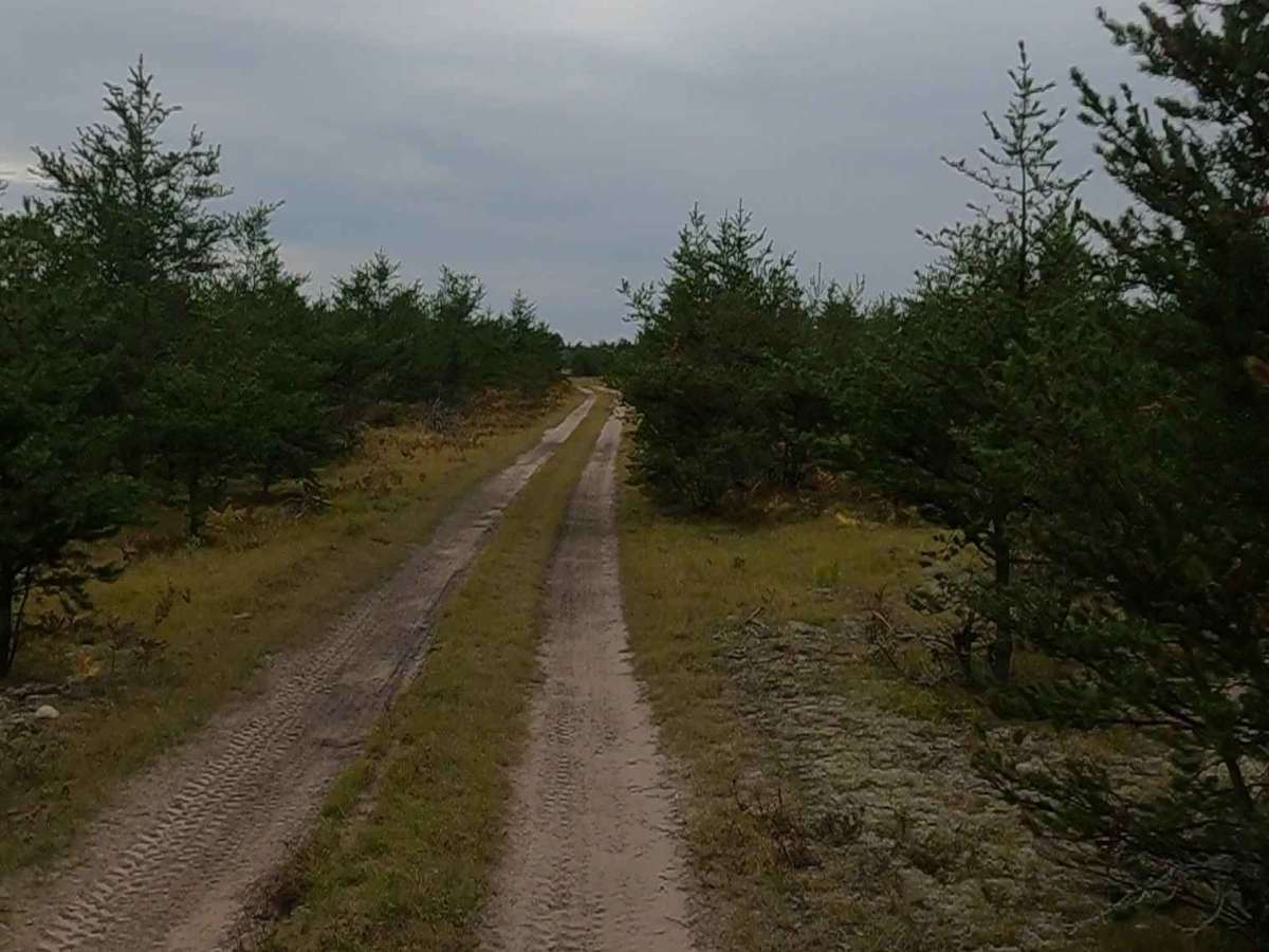 Grouse Track - FSR 3220 photo 6