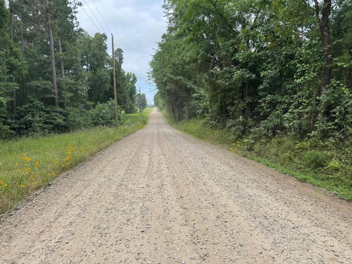 Minnow Creek Road photo 4