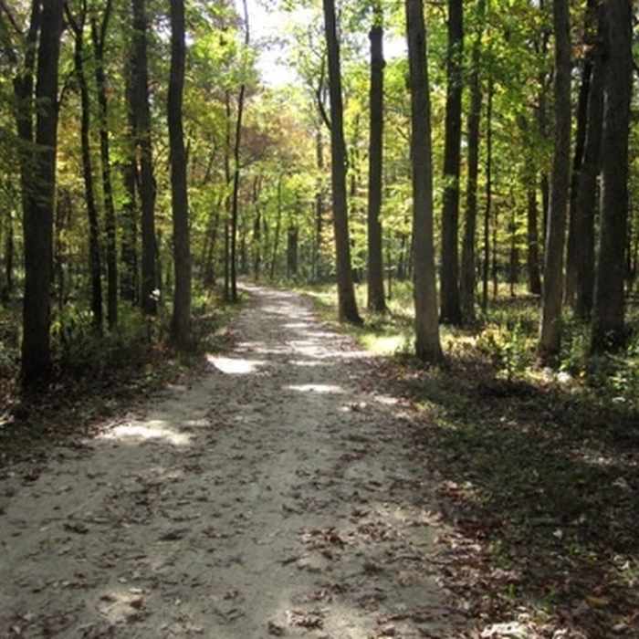 Near Des Plaines River Trail