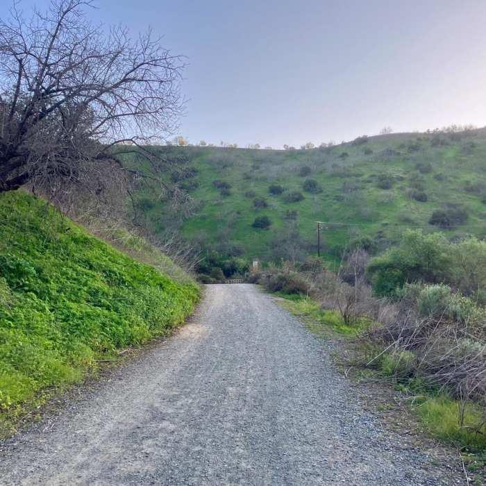 Near Telegraph/South Ridge Loop Near Telegraph/South Ridge Loop
