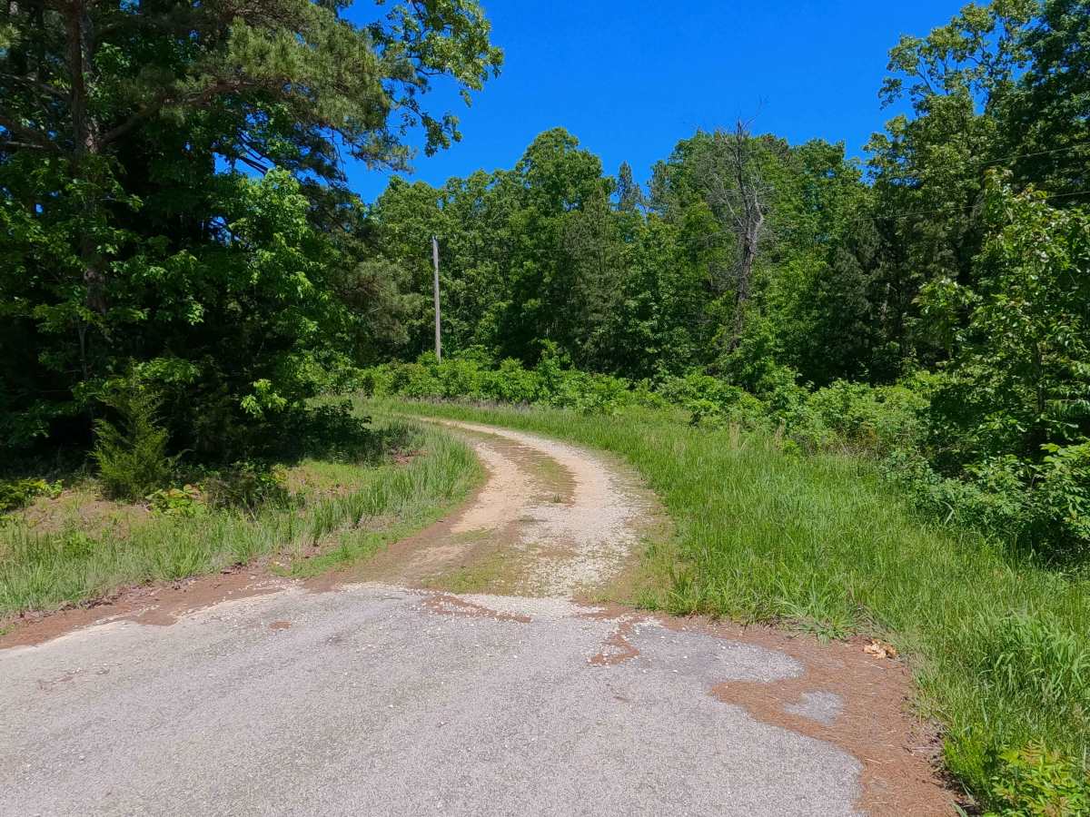 Kearney Cemetery - FS 3702 trail photo