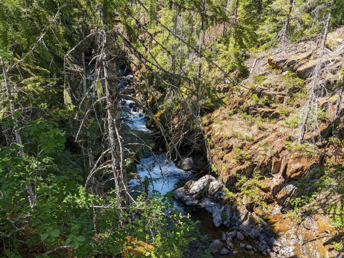 Hamma Hamma Falls photo 2