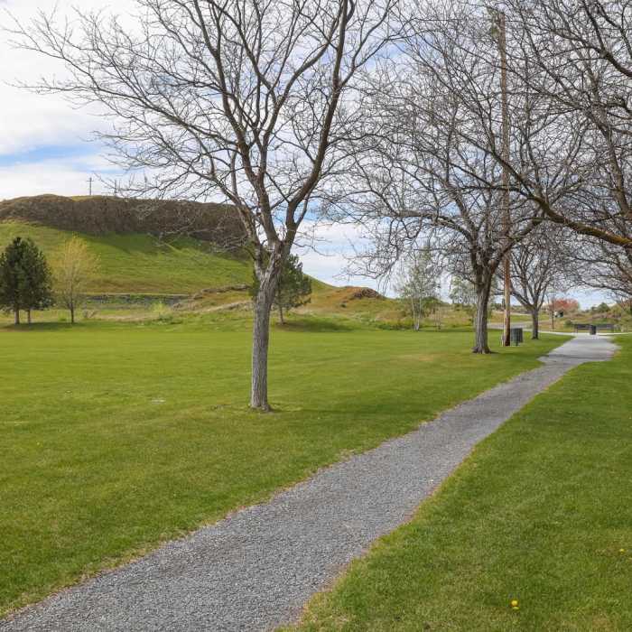 Near Hermiston Butte