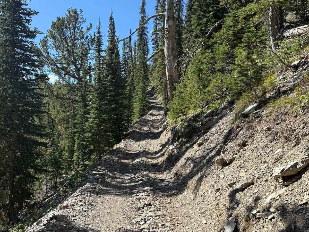 Patterson Trail photo 2