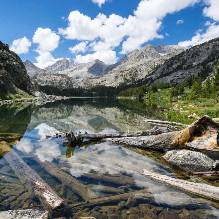 Near Little Lakes Valley #2912