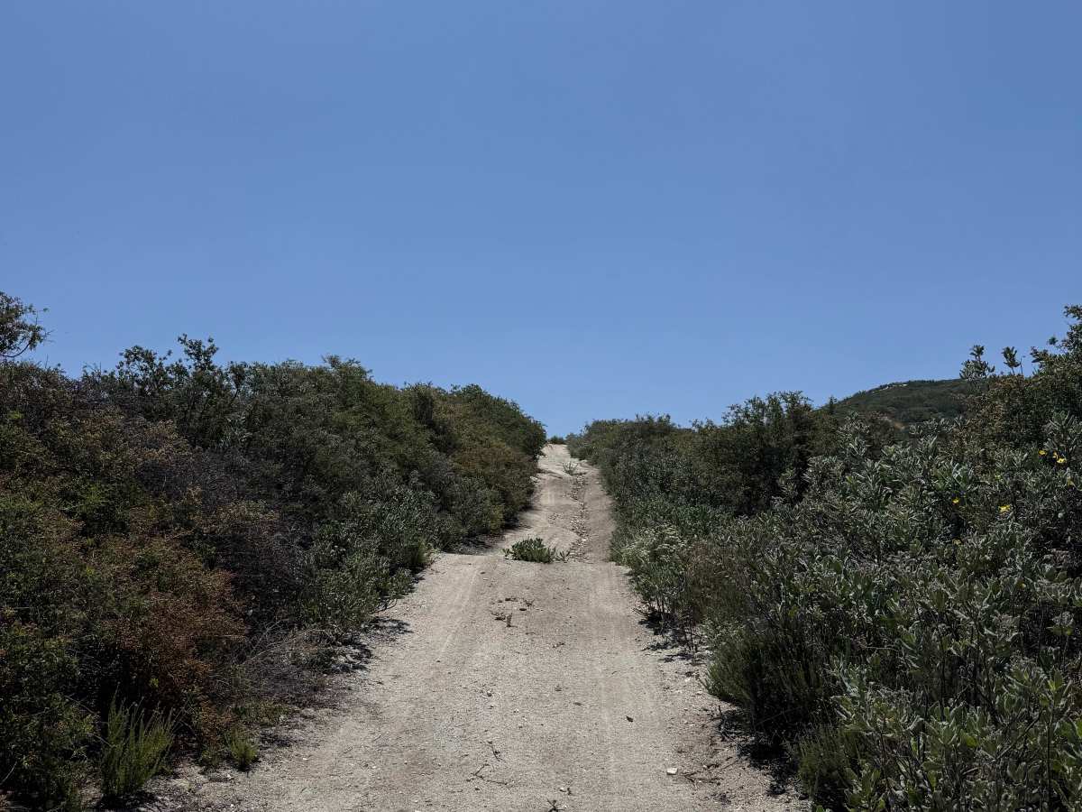 4S19 Angelus Hill photo 2