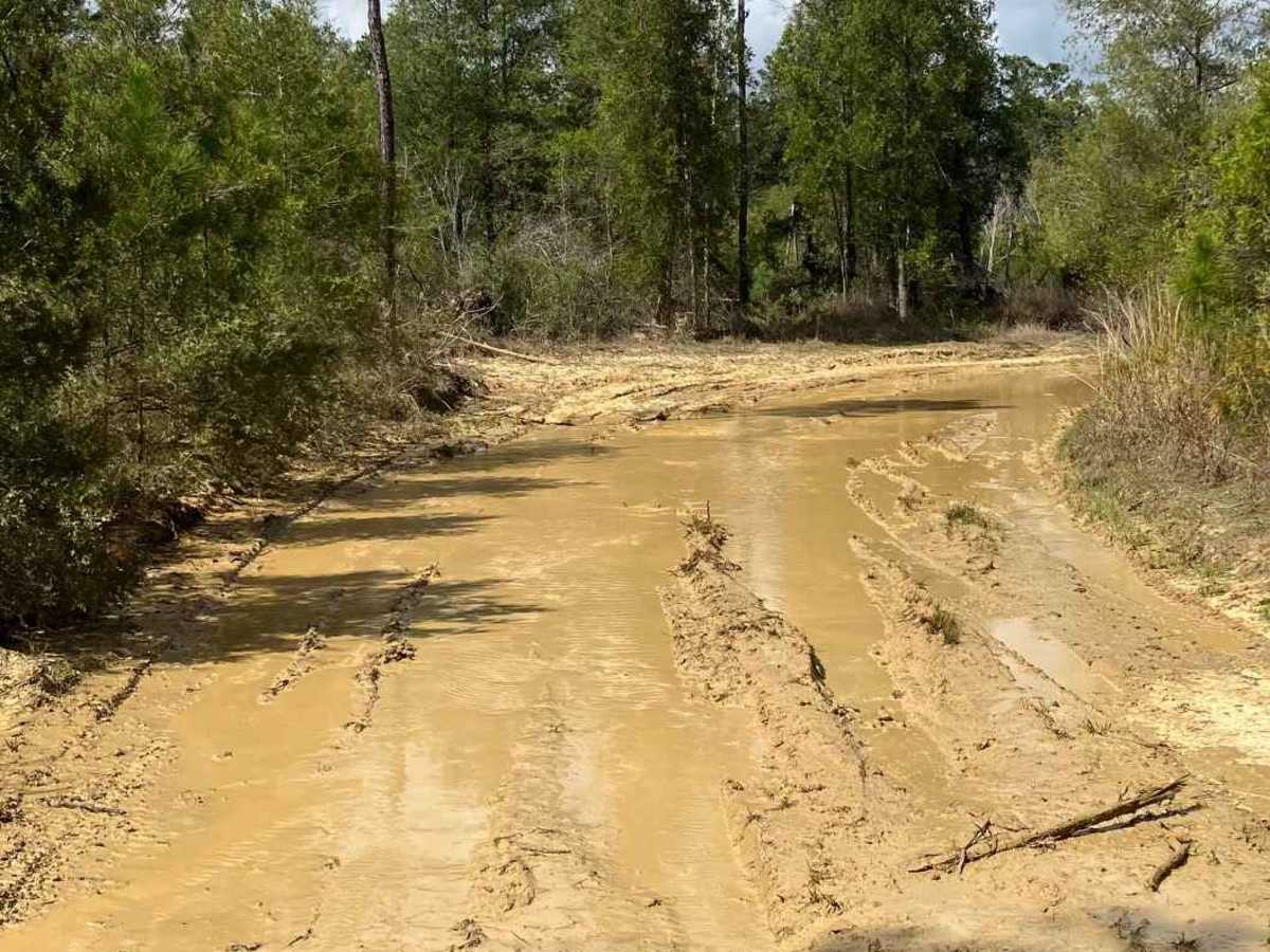 Lower River Road photo 6