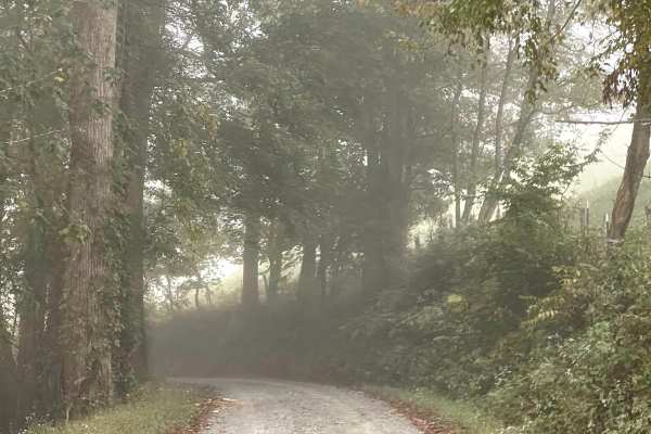 Long Ridge Road