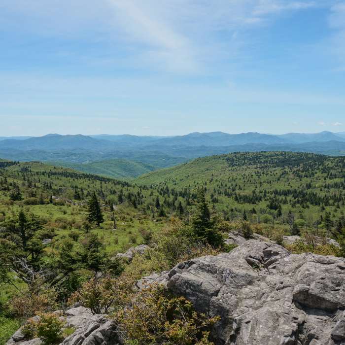 Near Mt. Rogers Out-and-Back