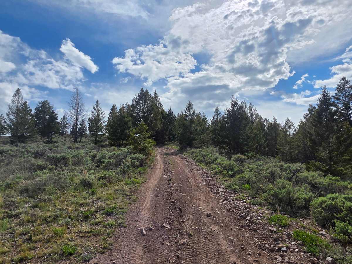 Little Wolfford Mountain Loop A photo 5