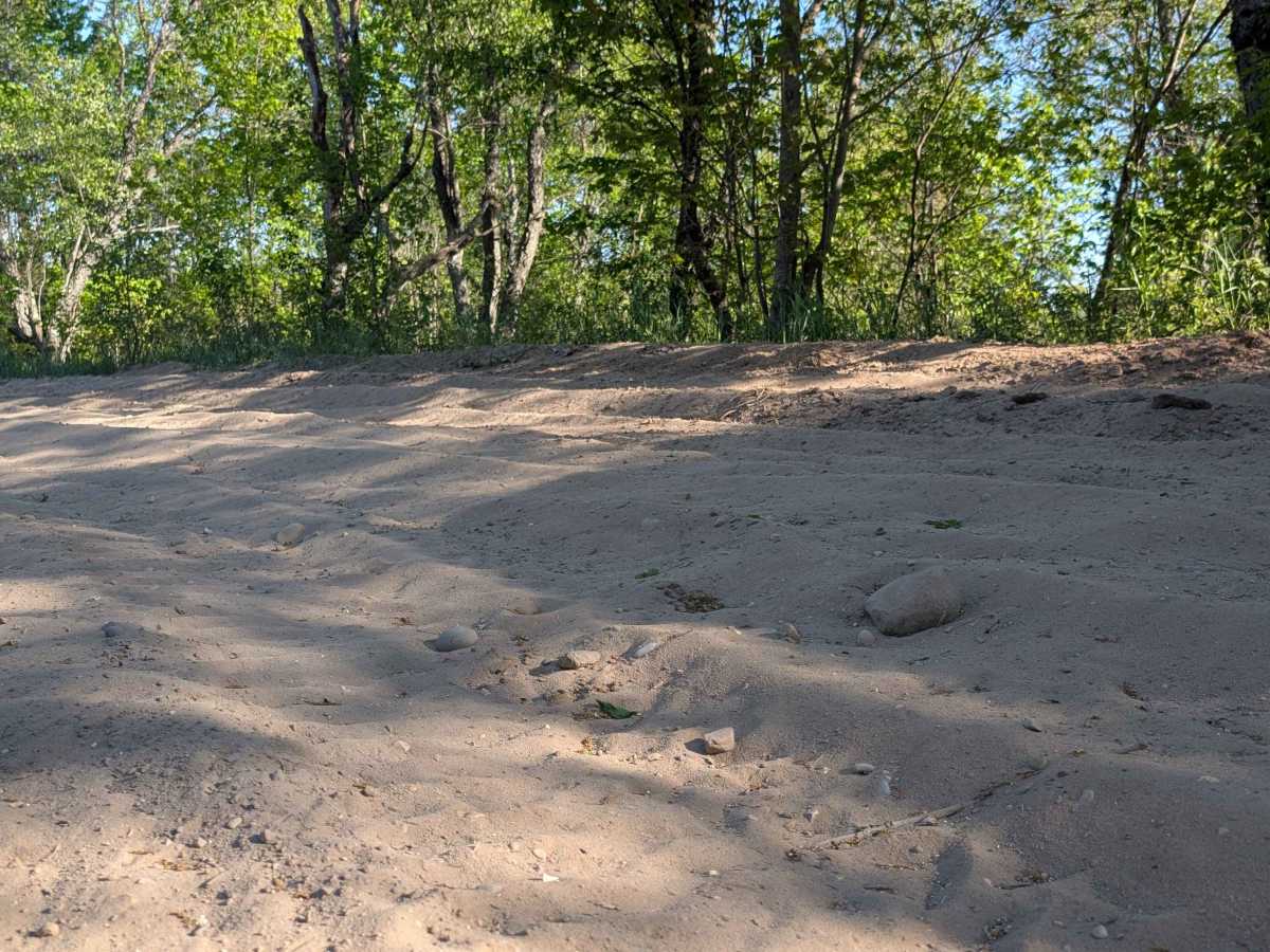 Trail 4655 photo 2