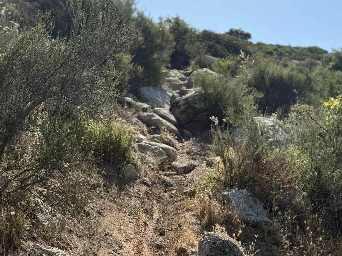 Ranger - Trail 12 photo 6