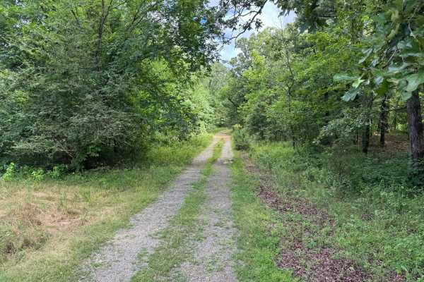 Woods Branch