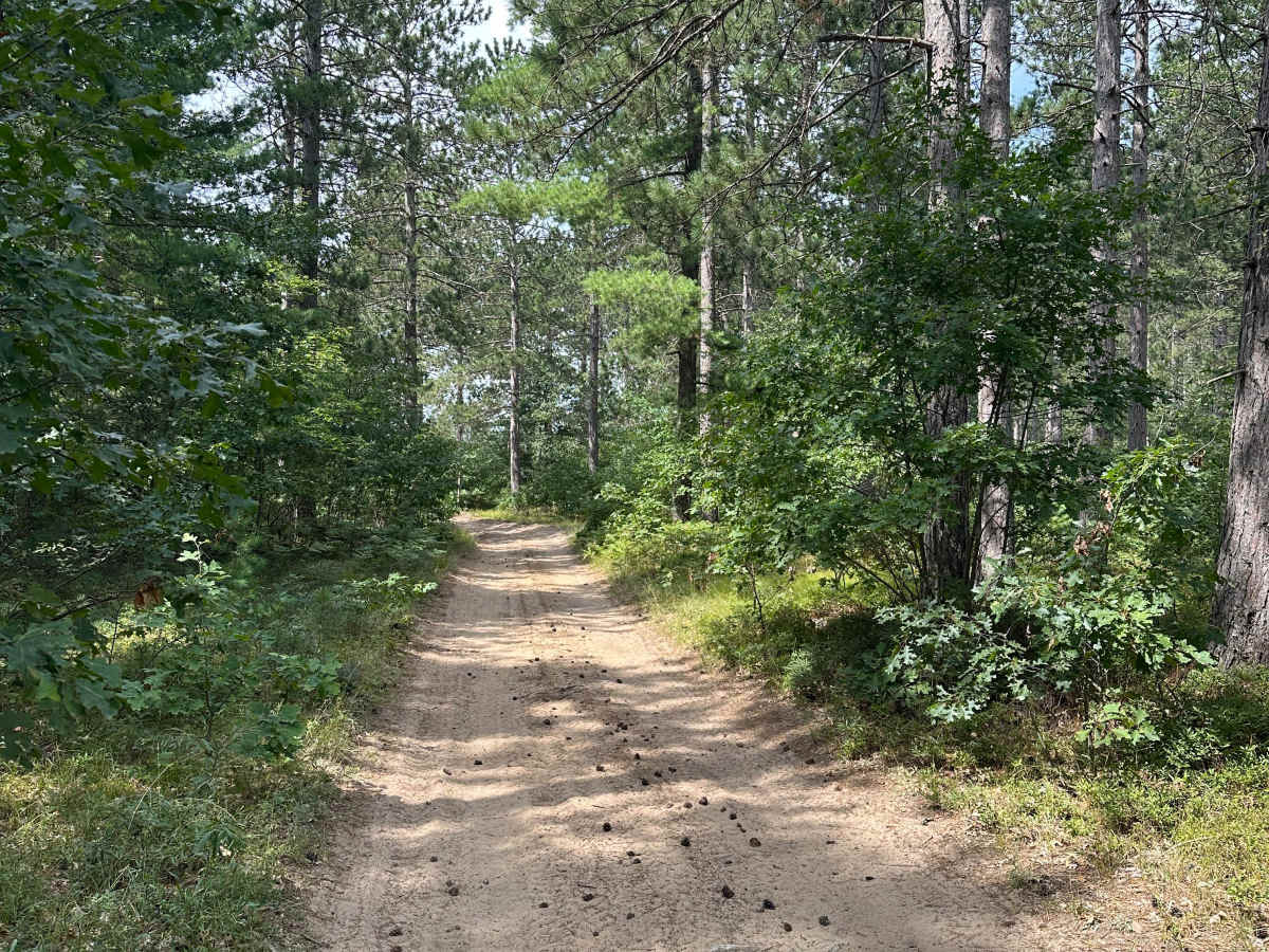 Pond Loop photo 2