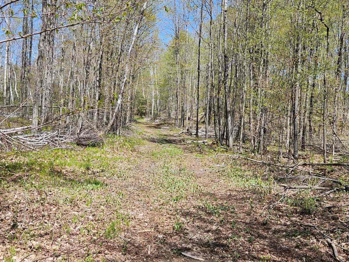 Stoney Creek Loop photo 6