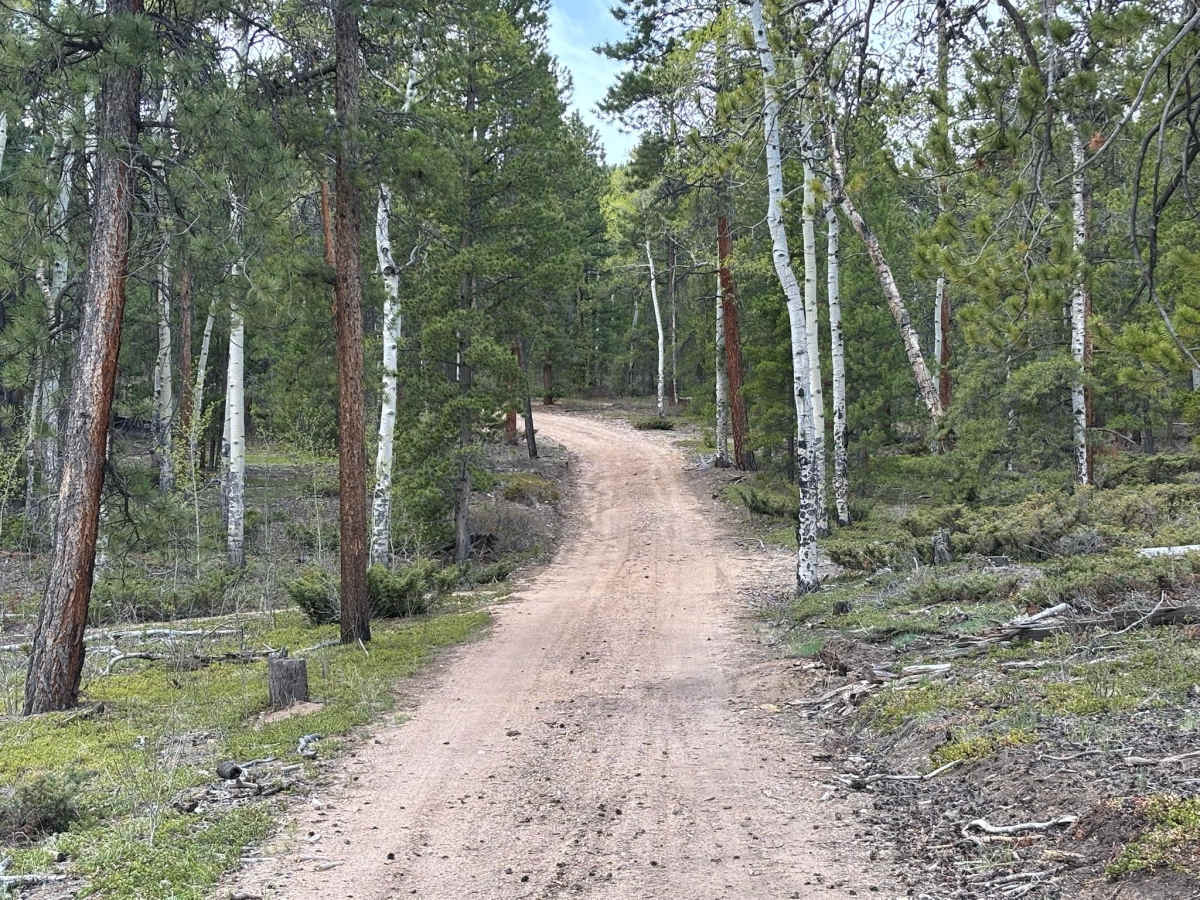 Lasso Road photo 4