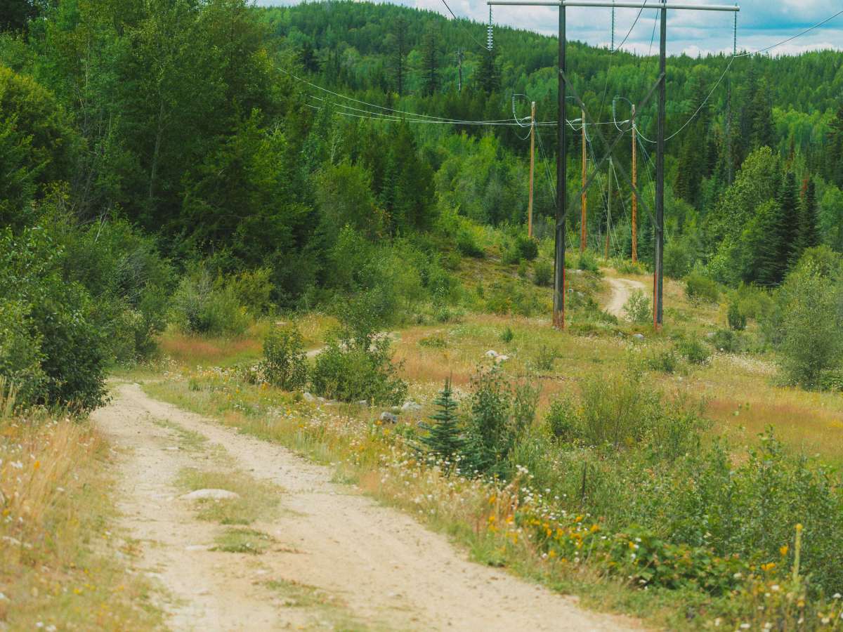 Powerline Arrow Trail photo 3