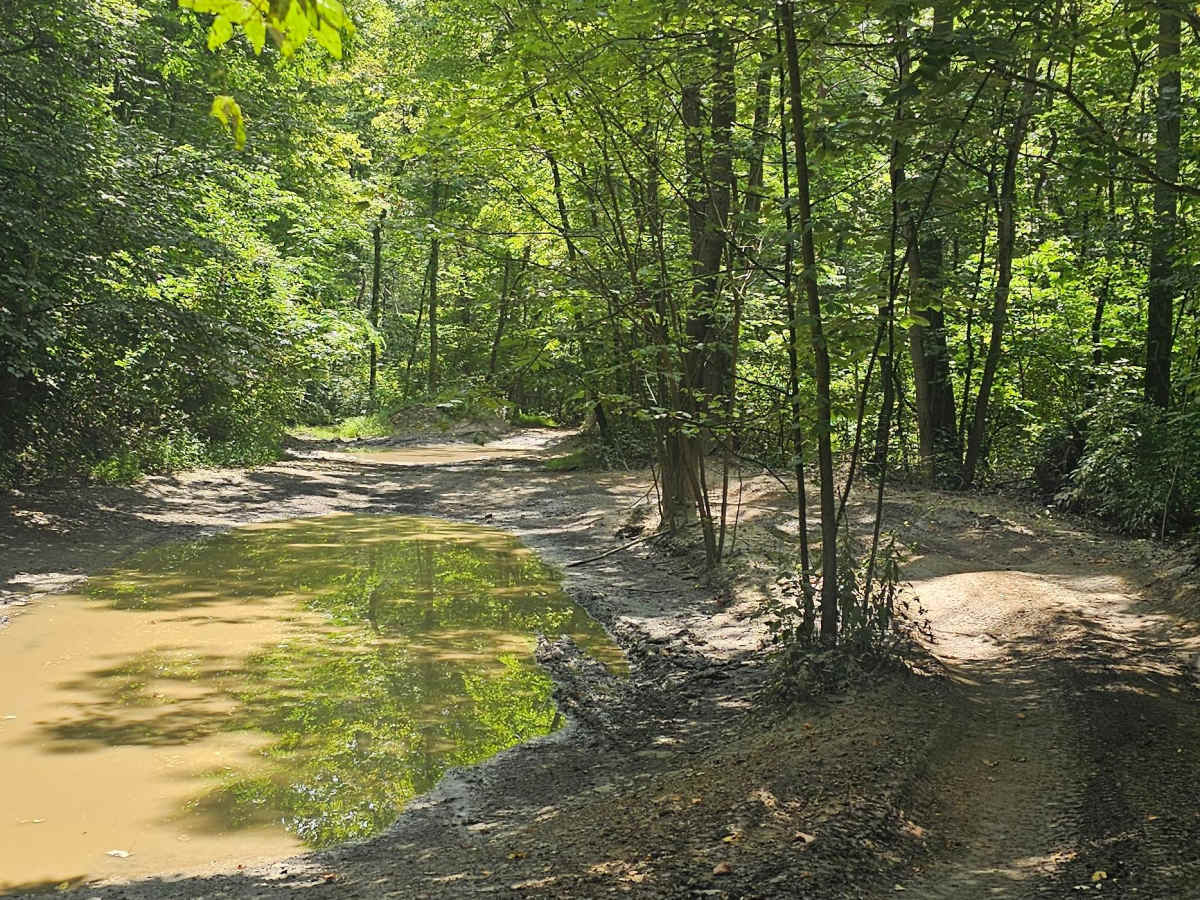 Trail 27 photo 6