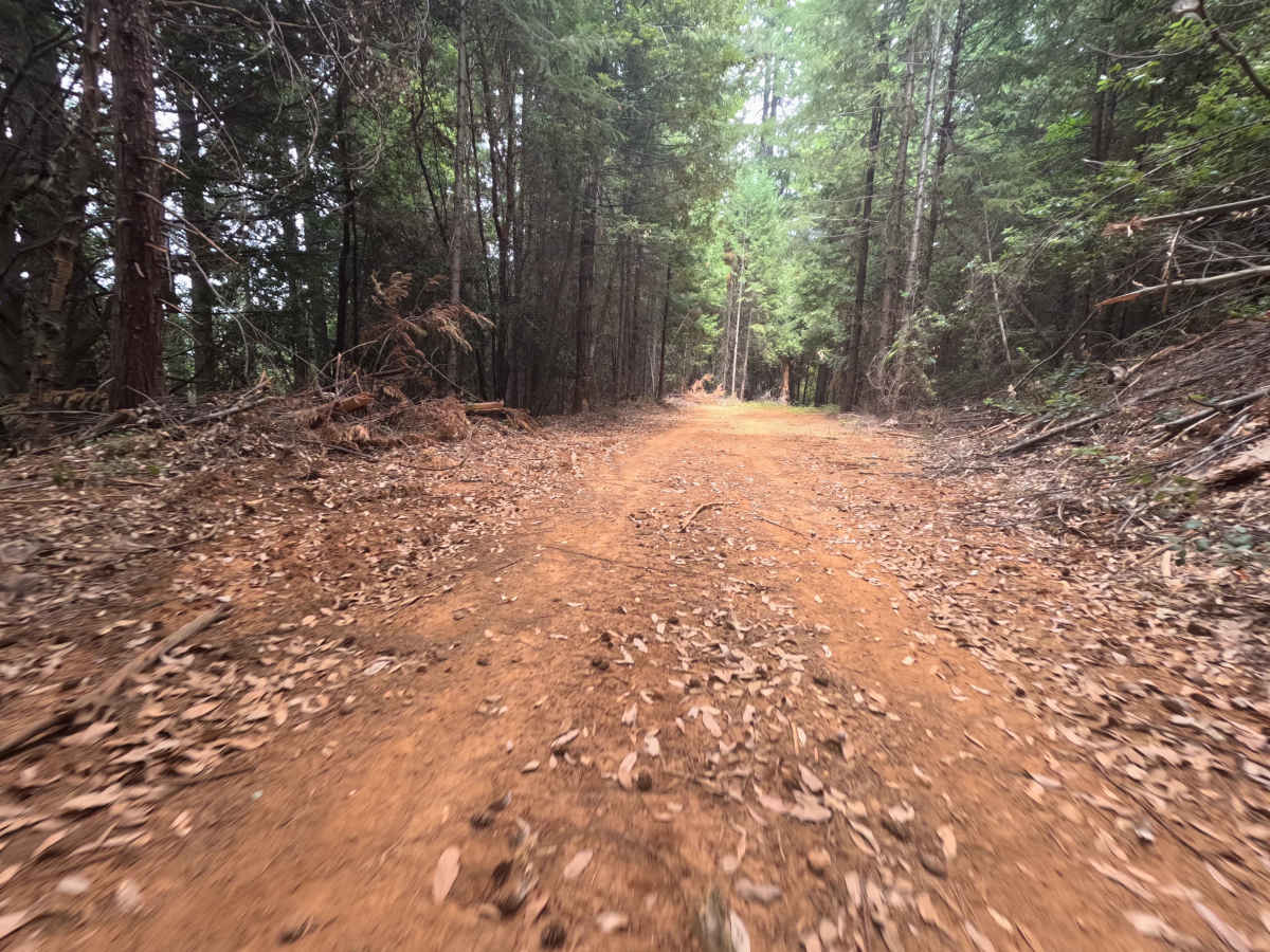 Pourier Creek Spur - FS 34-003 trail photo