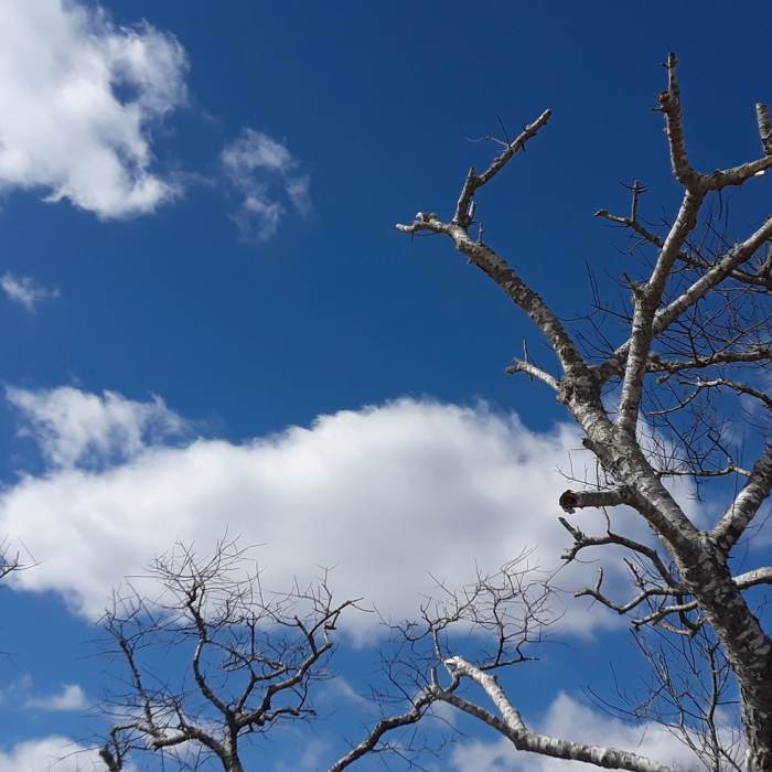 When the sky is on, the beach is the best place to see the color and form. Near Weekapaug Beach