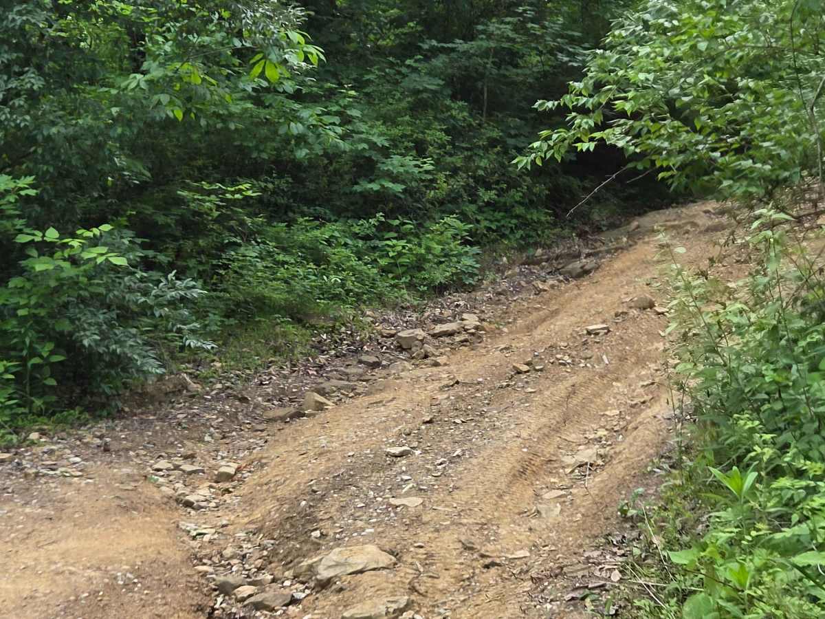 Jim Callahan Road photo 4