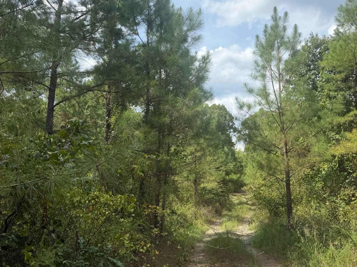 Oak Mountain Road photo 4