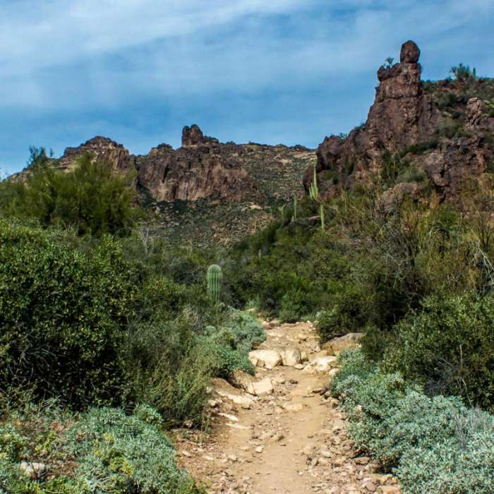 Near Peralta Out and Back