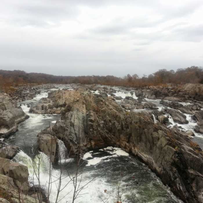 Near Chesapeake and Ohio Canal Loop