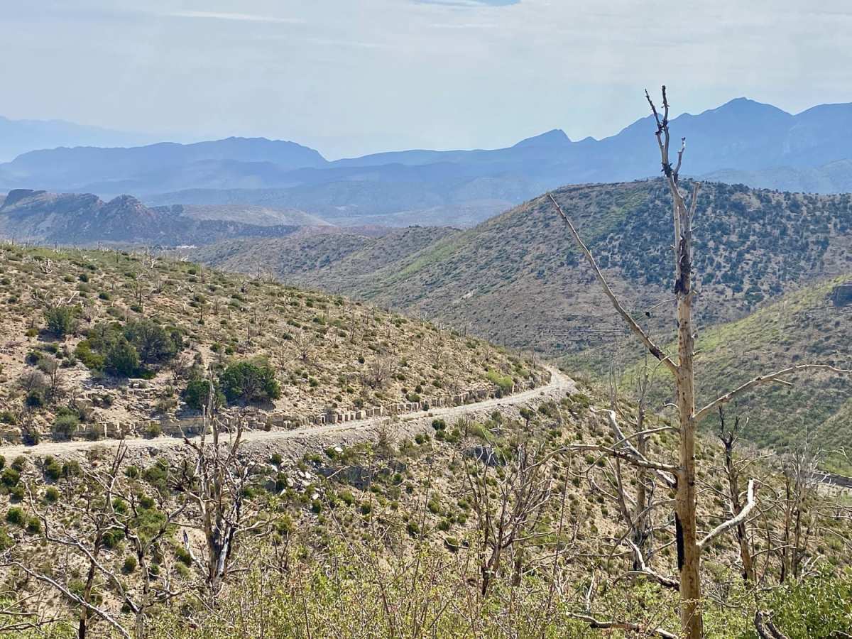 Harris Spring Road trail photo