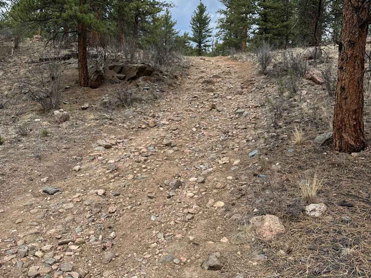Figure 9 Road photo 6